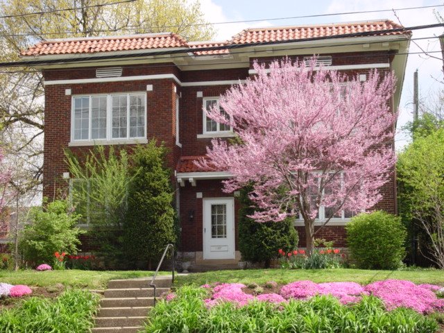 Spring Blooms, 1127 Richmond Road