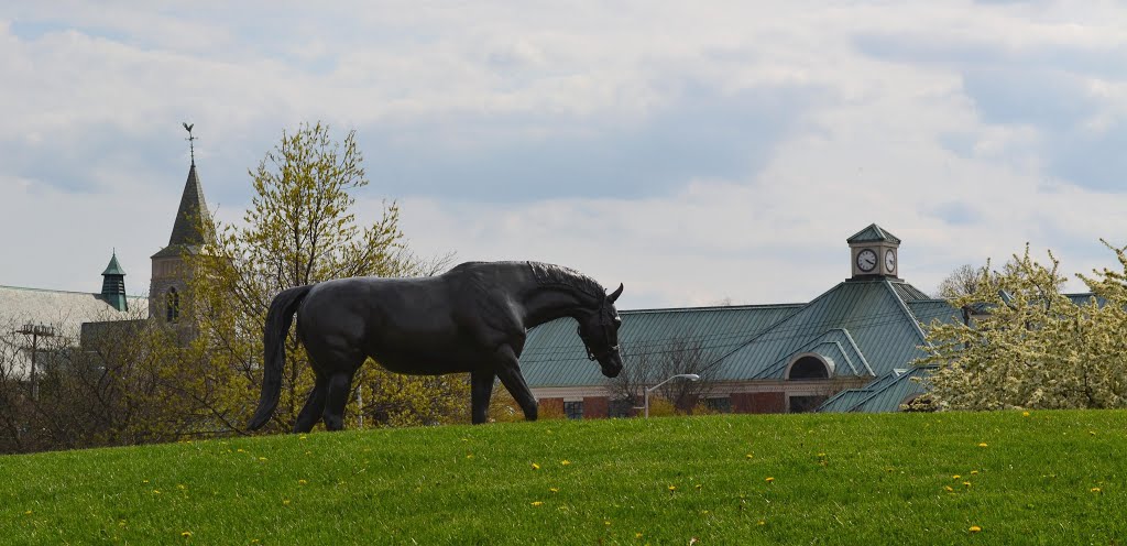 Grazing in the city