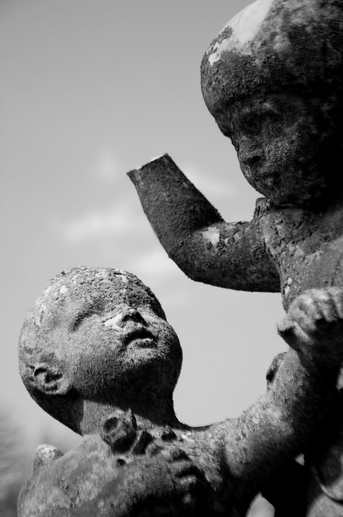 Little Angels