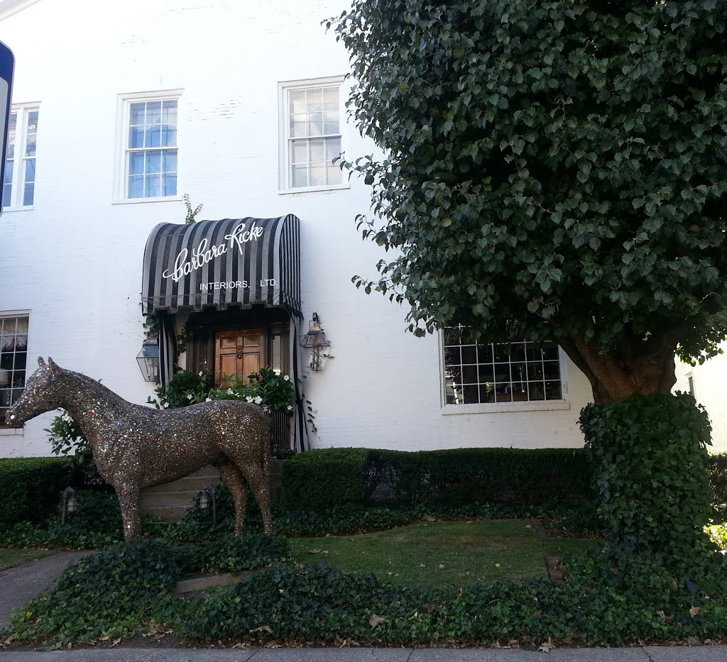 Barbara Ricke Interiors Limited