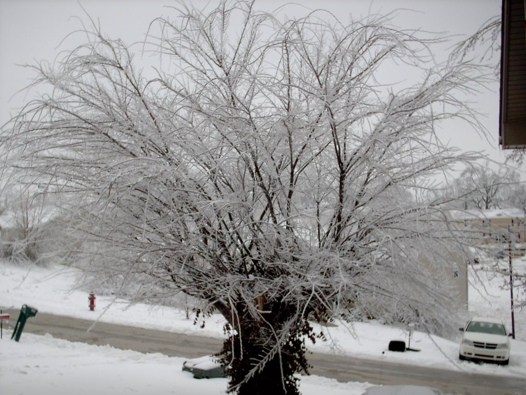 2009 Ice storm in Mt.Sterling, Ky.