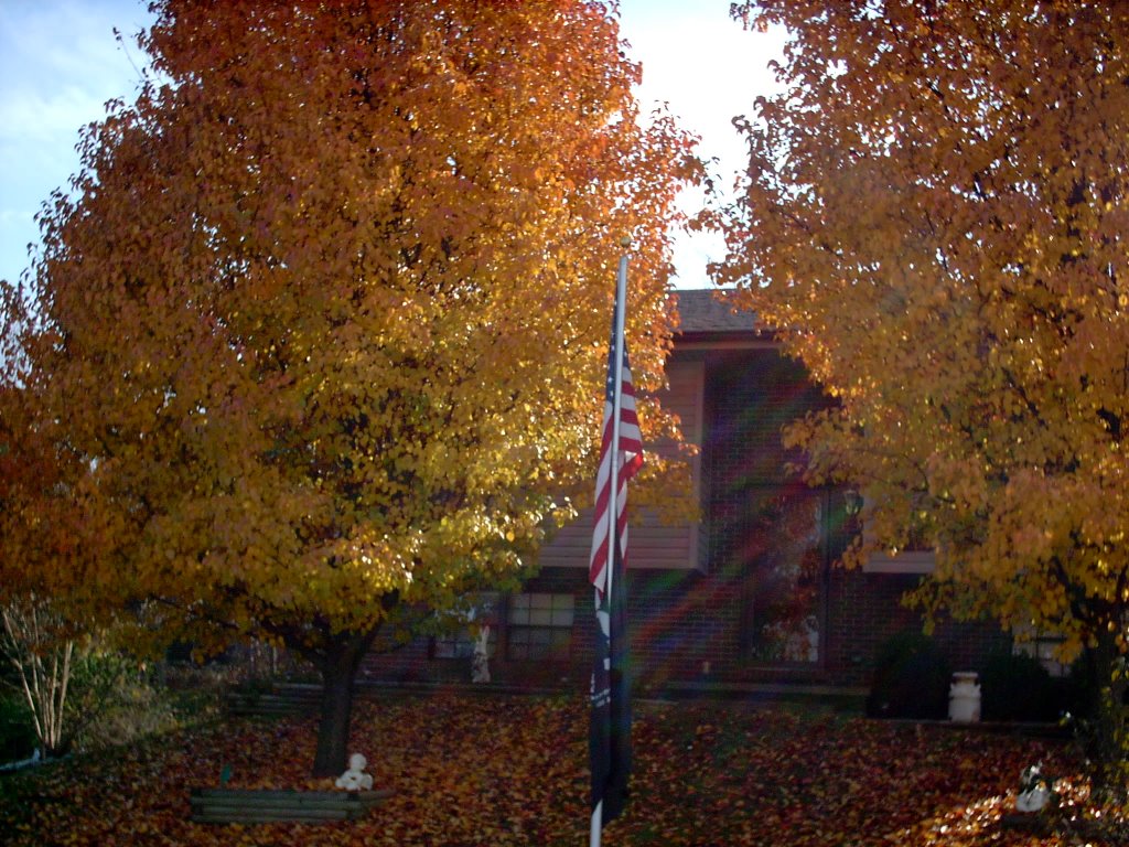 Fall Colors in Mt.Sterling, Ky. 2007