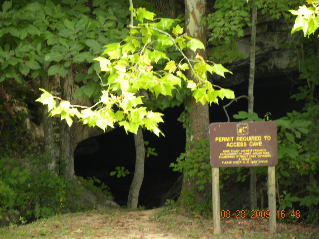 CAVE