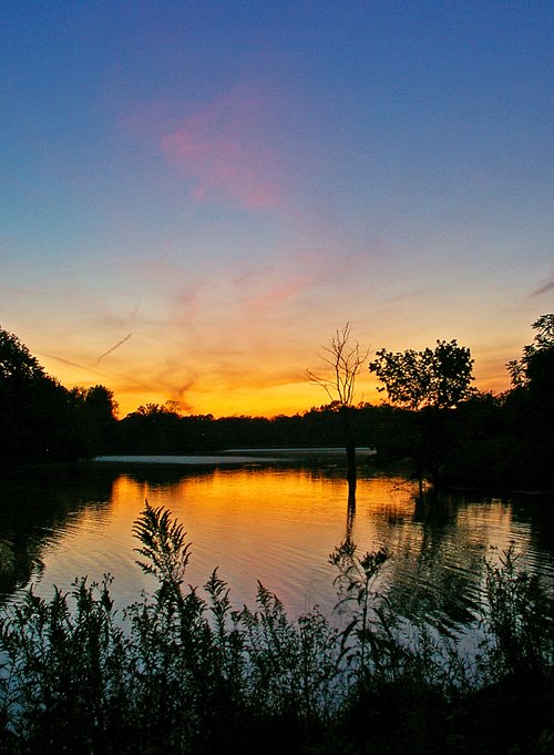 Scott Co, KY pond