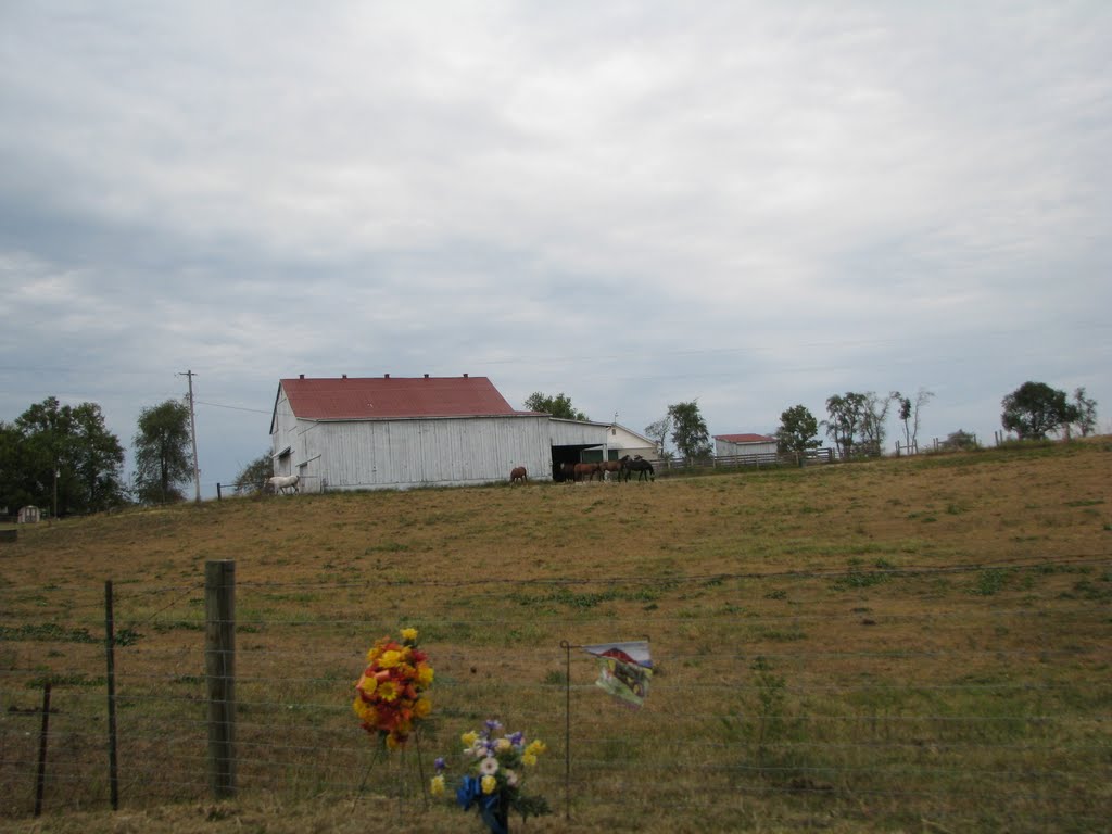 Kentucky Farm