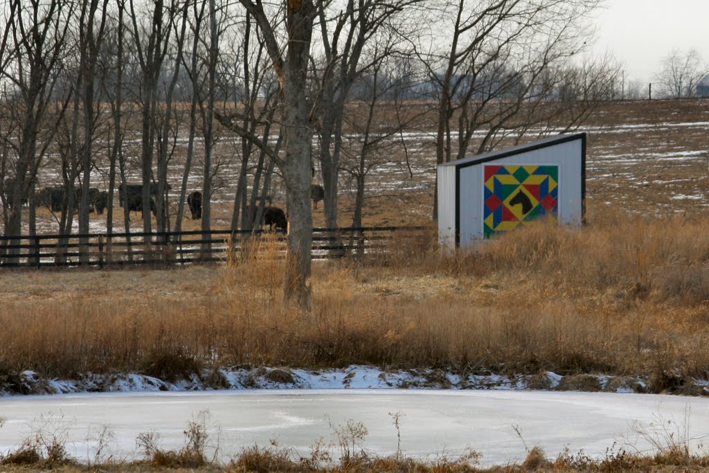 Quilt Barn - along Duvall Station Road