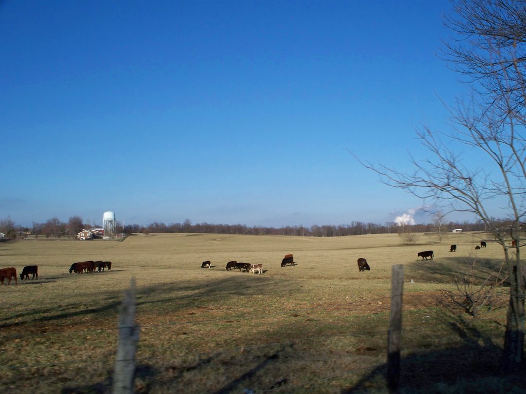 Field With Tennessee Ridge Water Tower & TVA In Distance