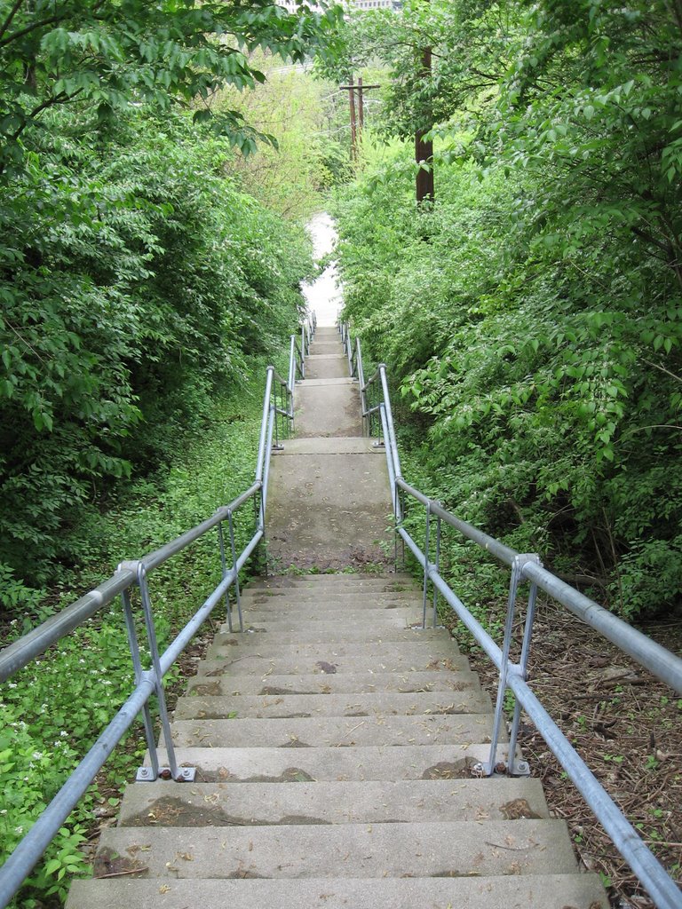 Stairs up Mt. Adams