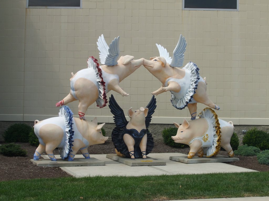 Swine Lake