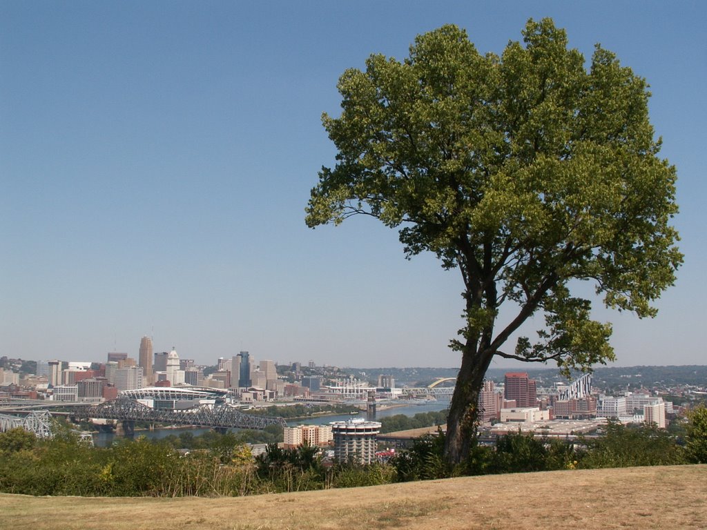 Cincinnati from Devou Park 4
