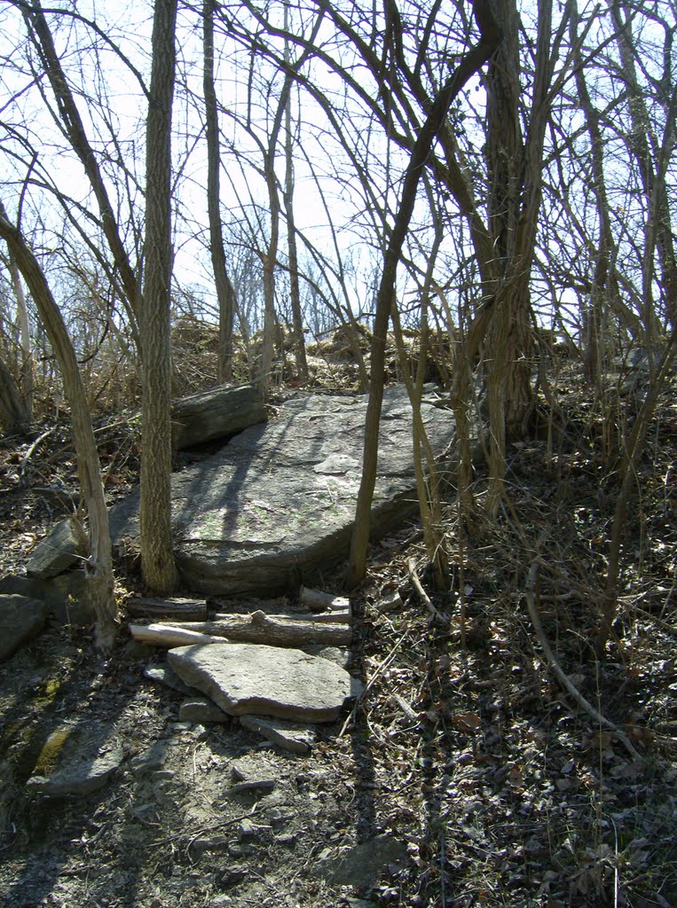 Tower Park MTB Trail