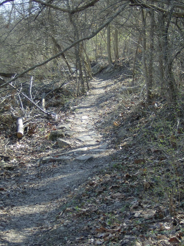 Tower Park MTB Trail