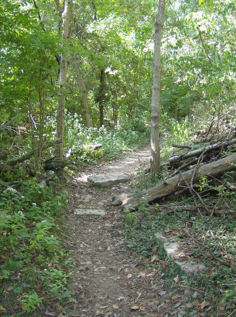 Tower Park Trail
