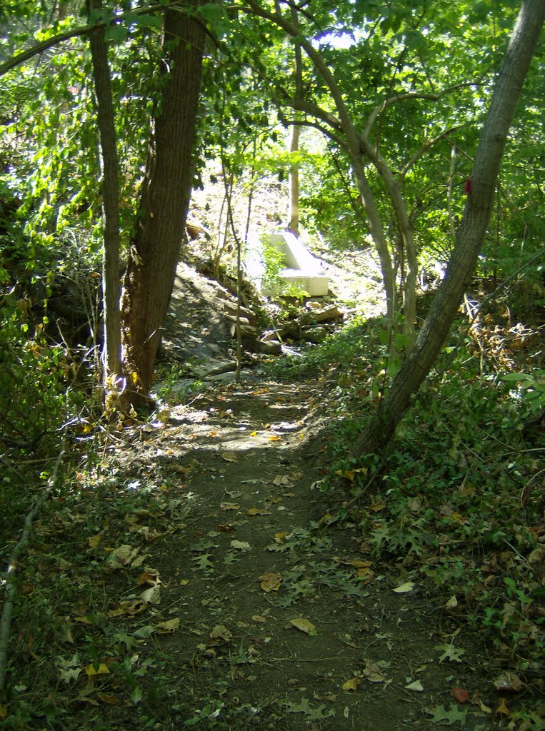 Tower Park Trail