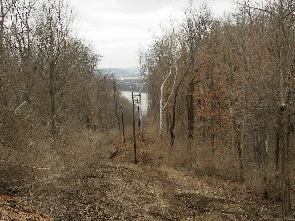 Ohio River from Ft. Thomas, Ky. Looking down from Tower Park.