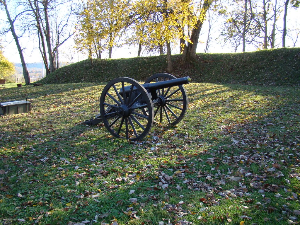 Cannon in Fort Hill Park