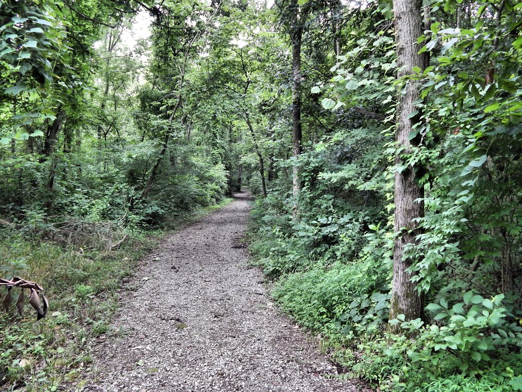 Jeffers Bend Recreation Area