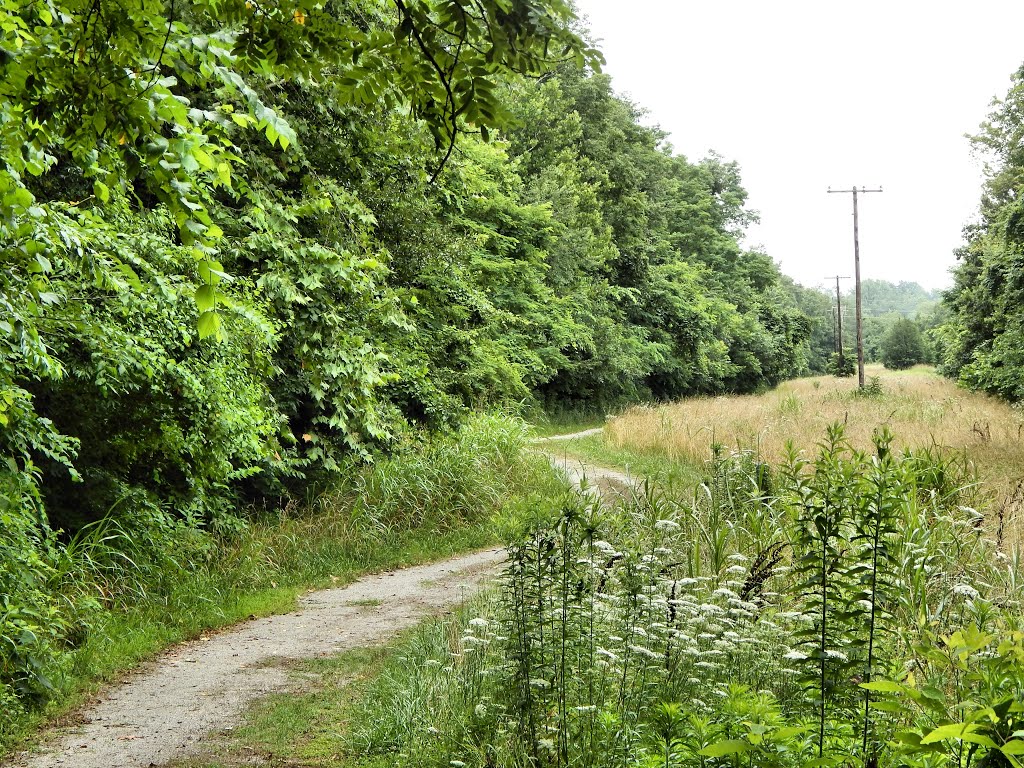 Jeffers Bend Recreation Area