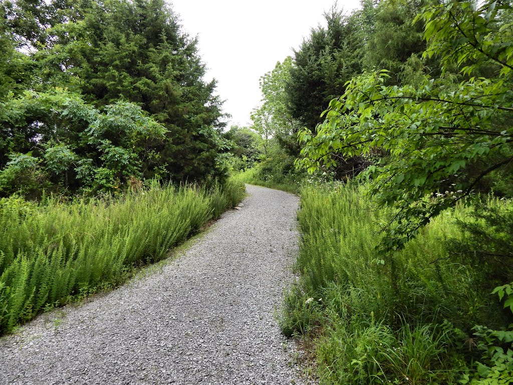 Jeffers Bend Recreation Area