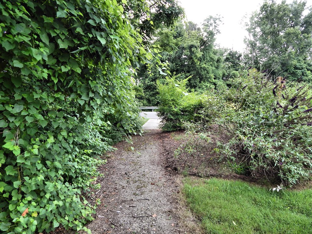 Jeffers Bend Recreation Area