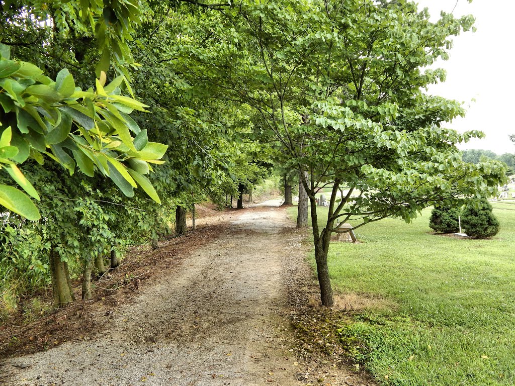 Hopkinsville Greenway & River Walk