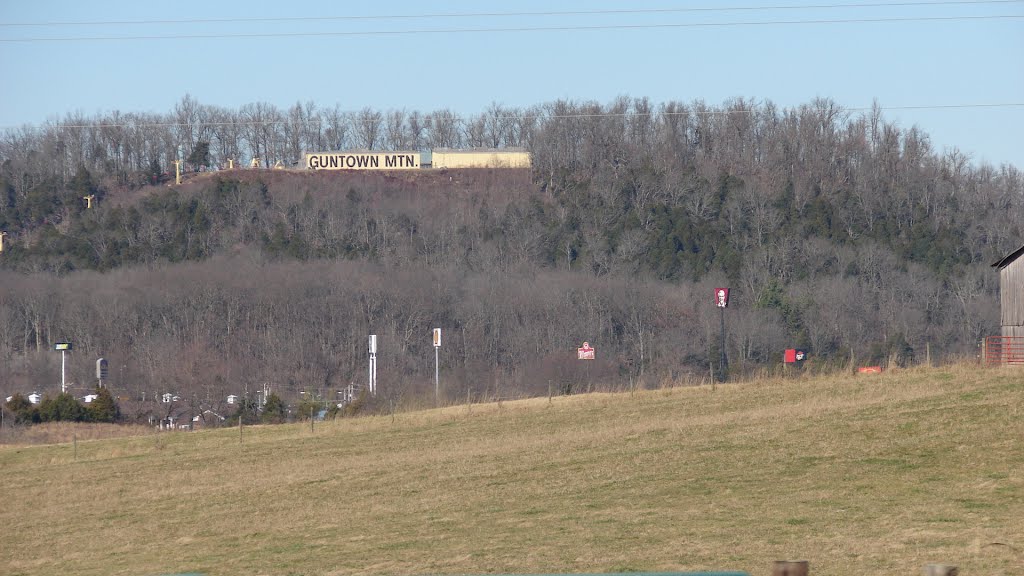 Guntown Mountain