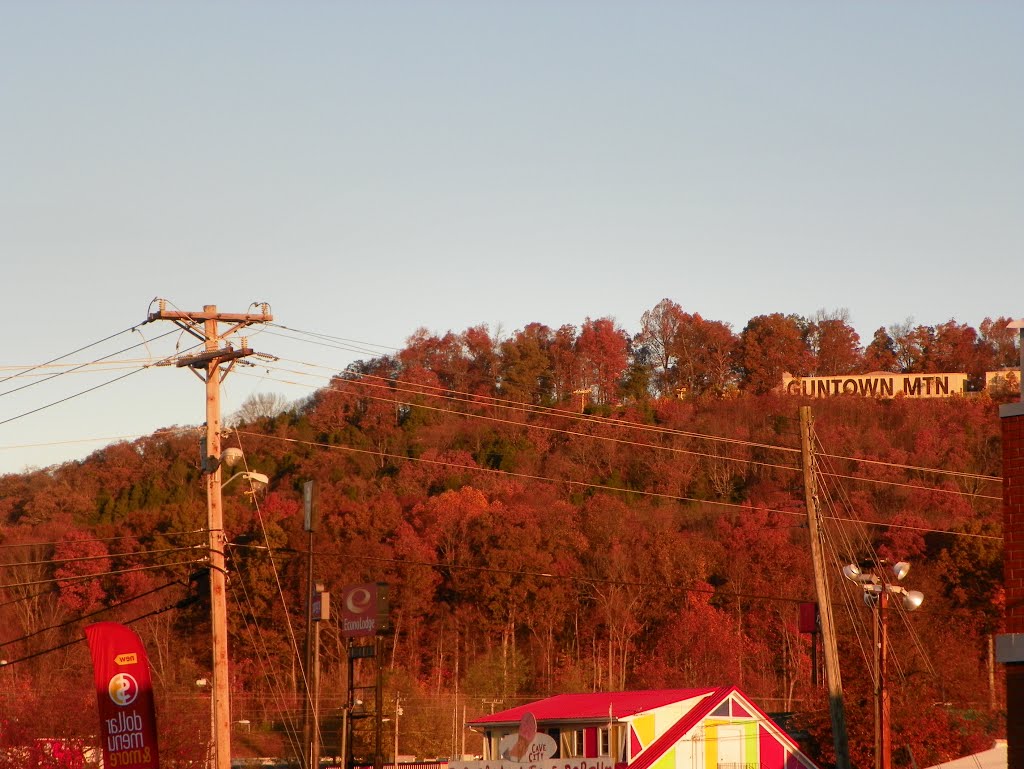 Morning Sun On Hillside