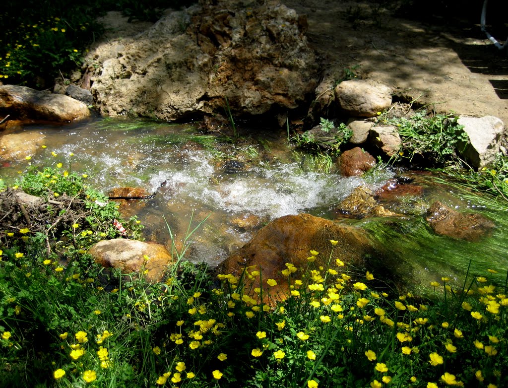 spring runoff