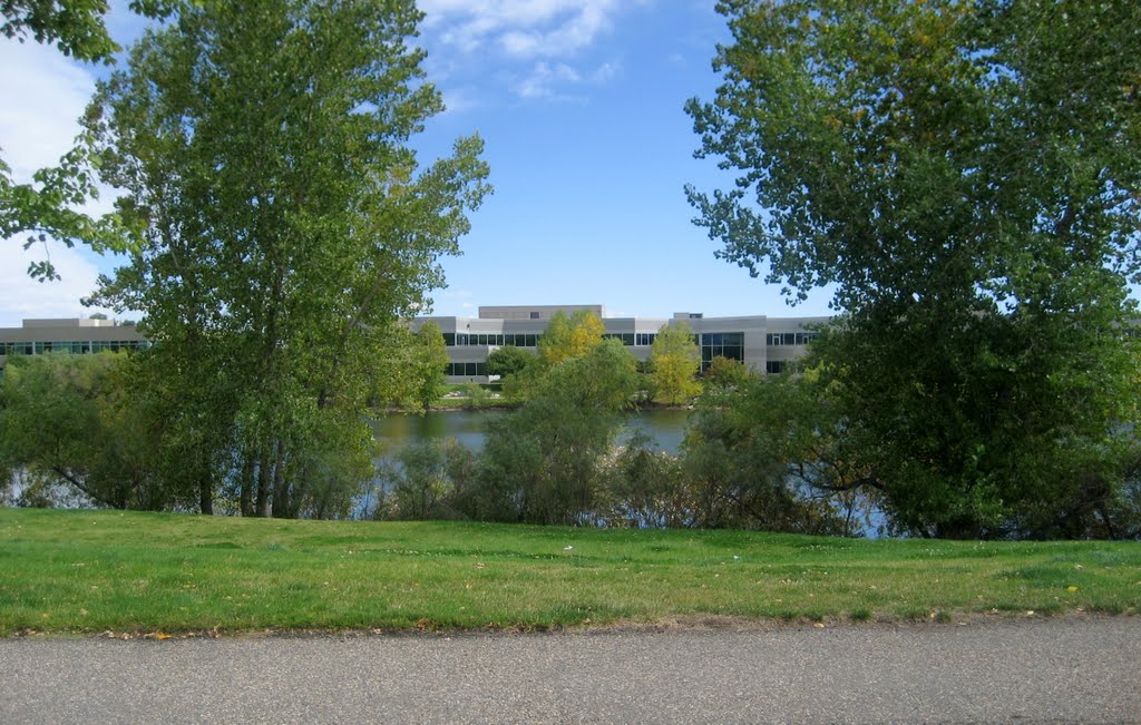 pond view