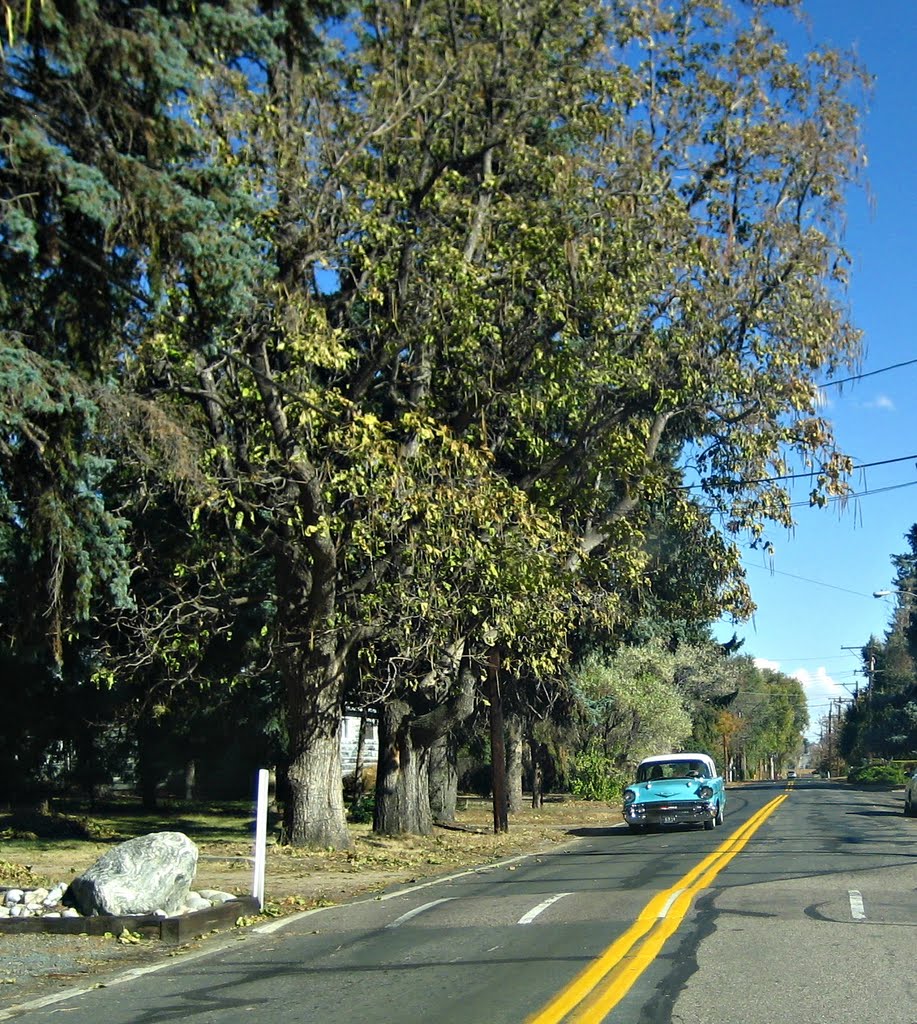 older road through a nostalgic neighborhood