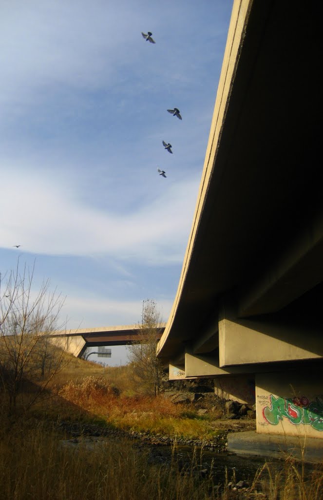 under the roads