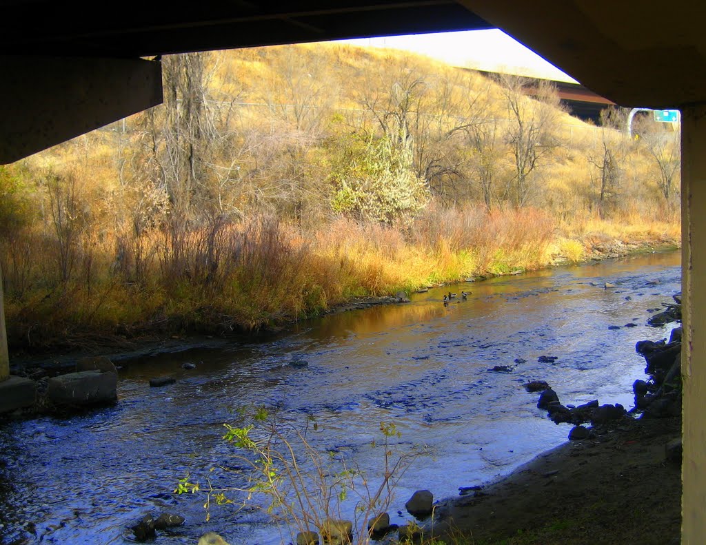 Clear Creek under the bridge
