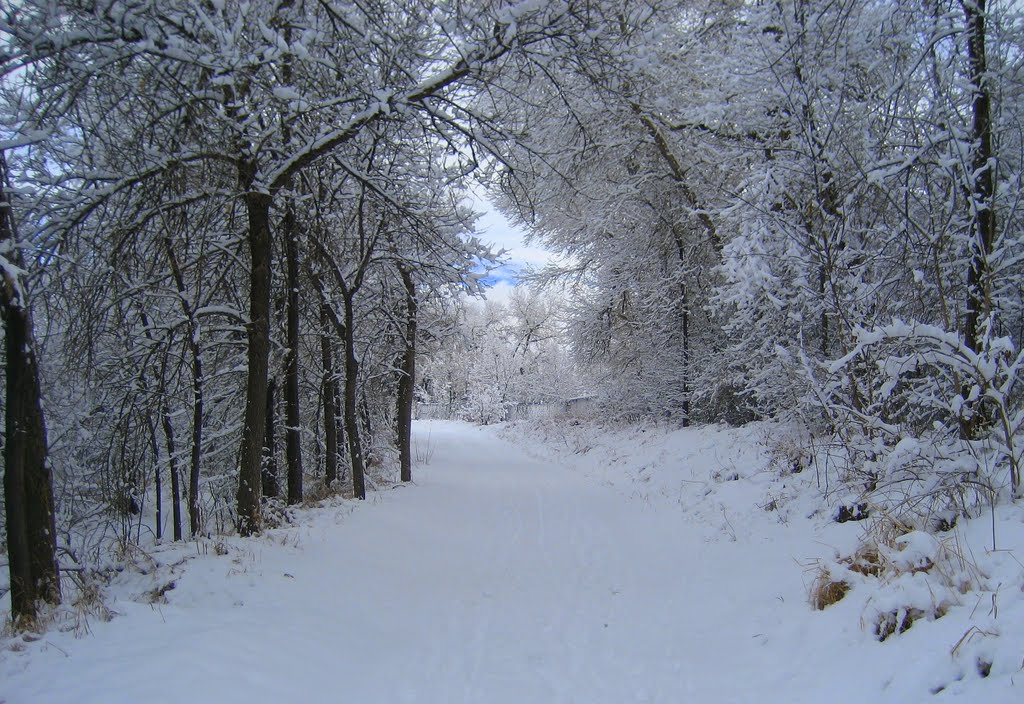 Clear Creek Greenbelt