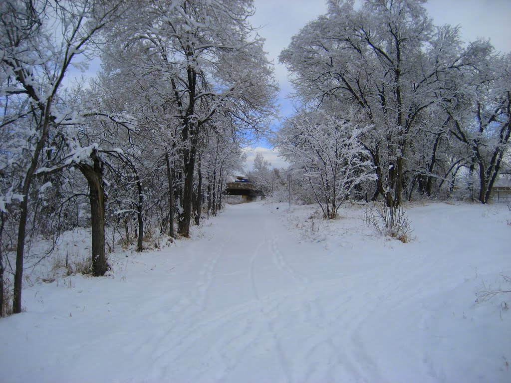 on the trail