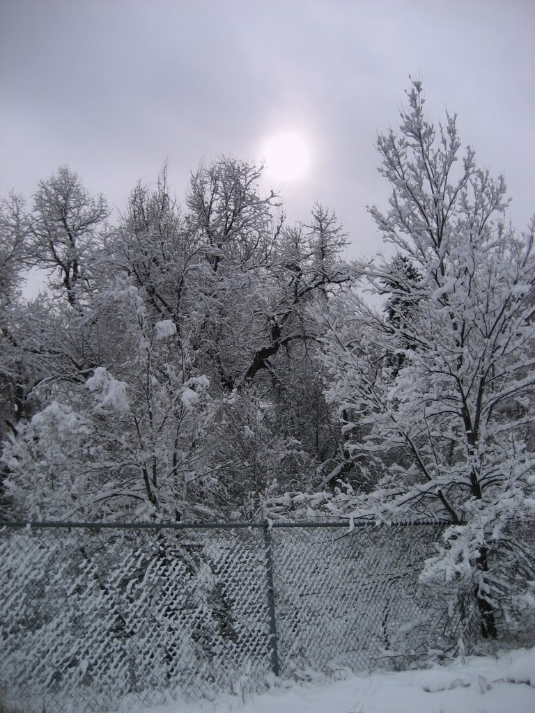 Clear Creek morning snow