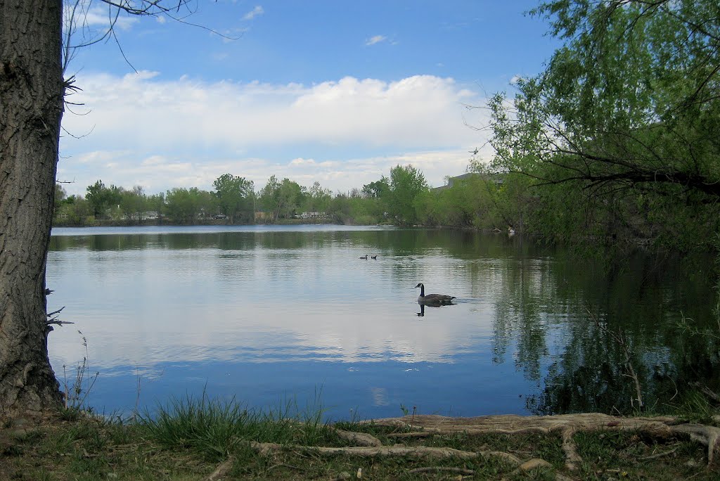 Spring reflections on the old gravel pit