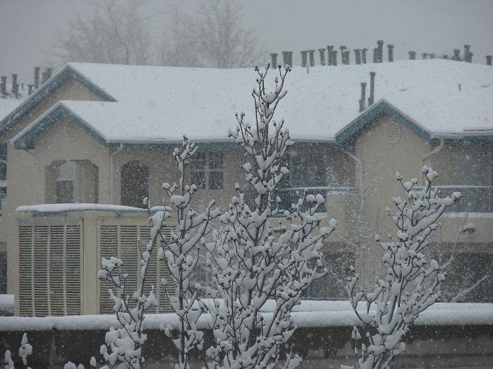 View from a room on Homewood Suites, Boulder CO USA