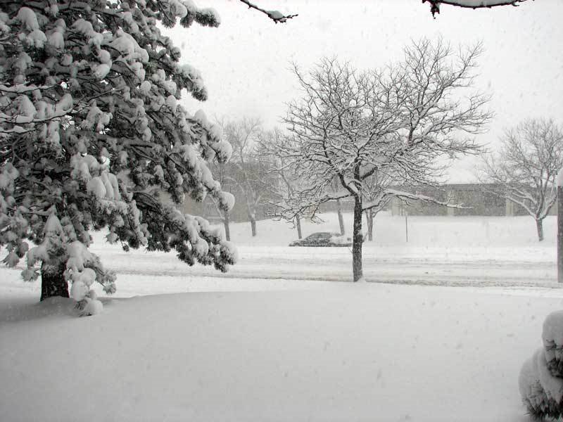 Blizzard of 2006-01