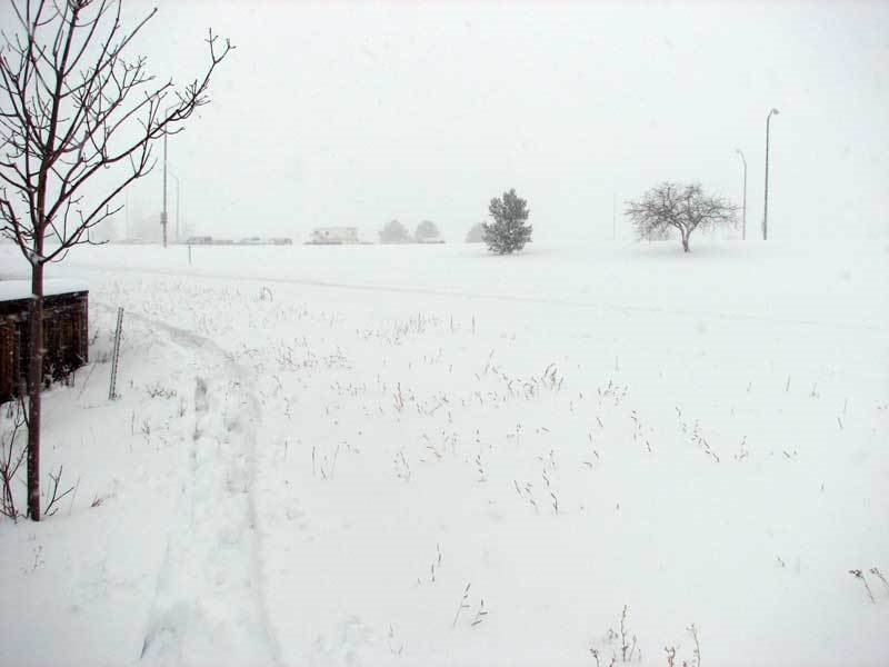 Blizzard of 2006-03