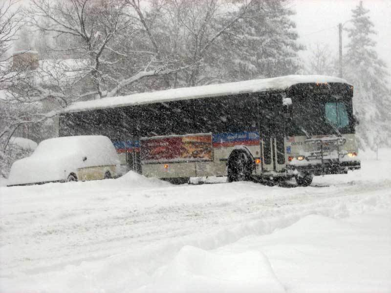 204 Bus stuck on Moorhead Drive.