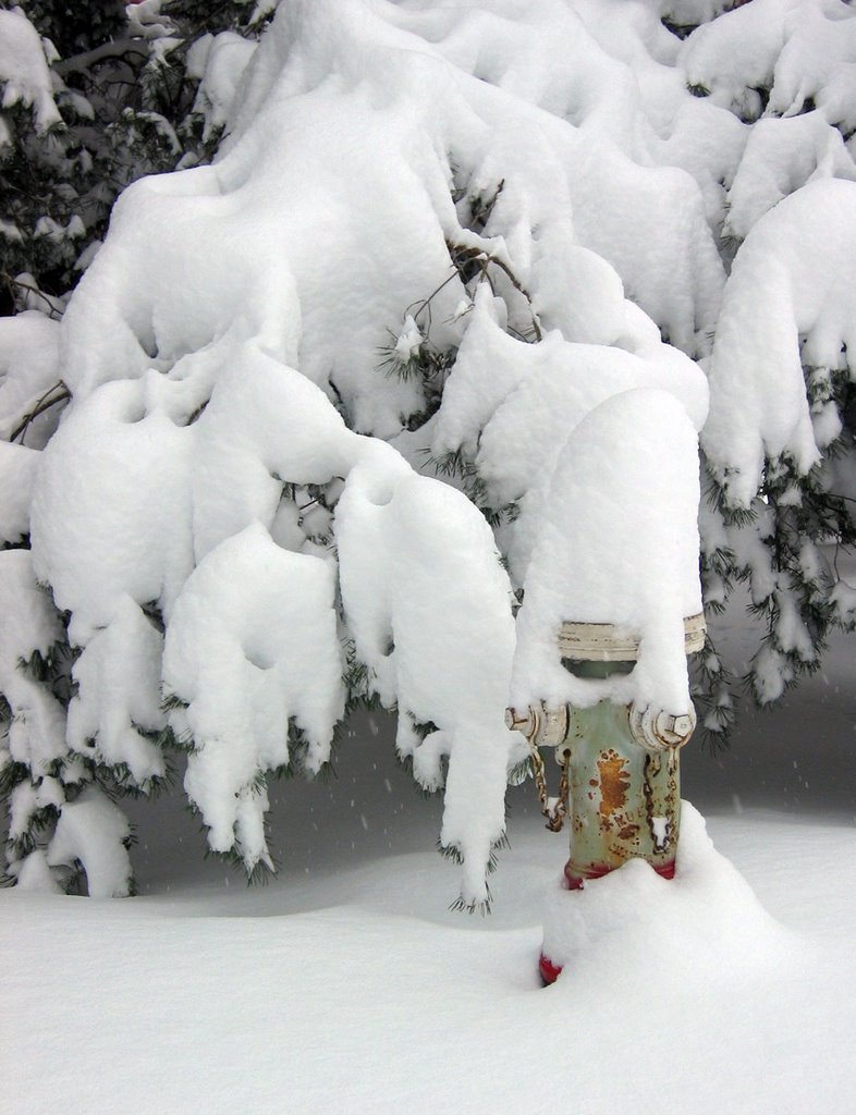Fire Hydrant