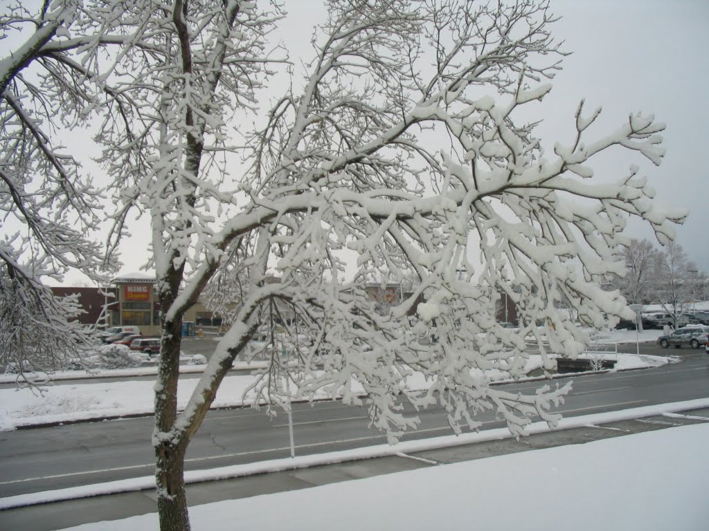Winter on Table Mesa Dr, Boulder, CO