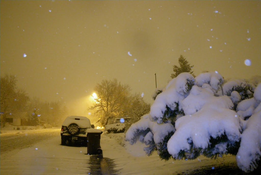 Late night snowfall. November 14, 2009.