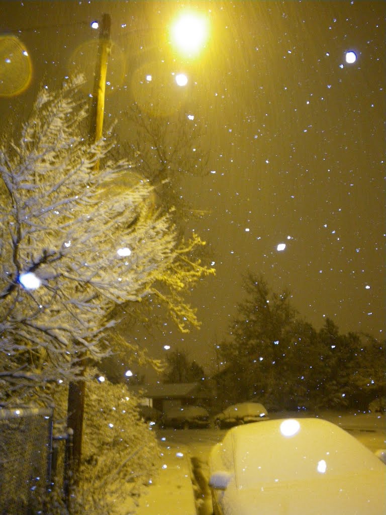 Late night snofall. November 14, 2009