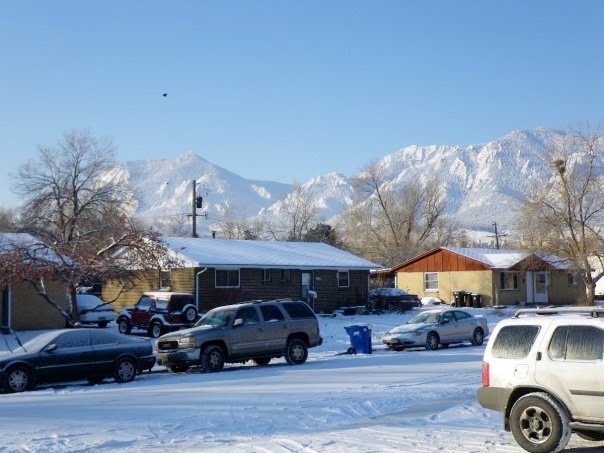 Fresh snow. 2009.