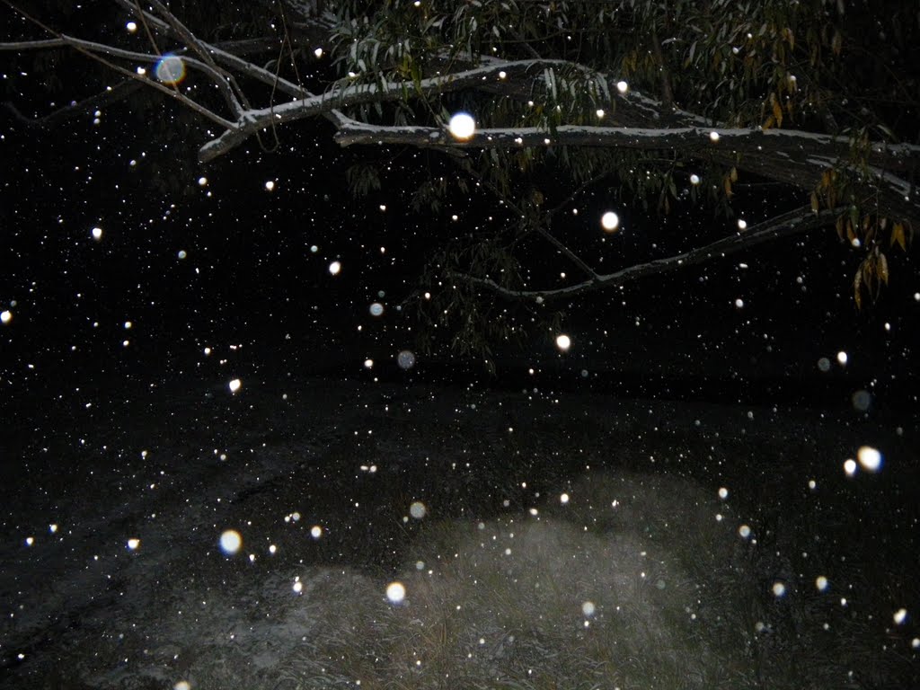 First snow of the season. October 2009.