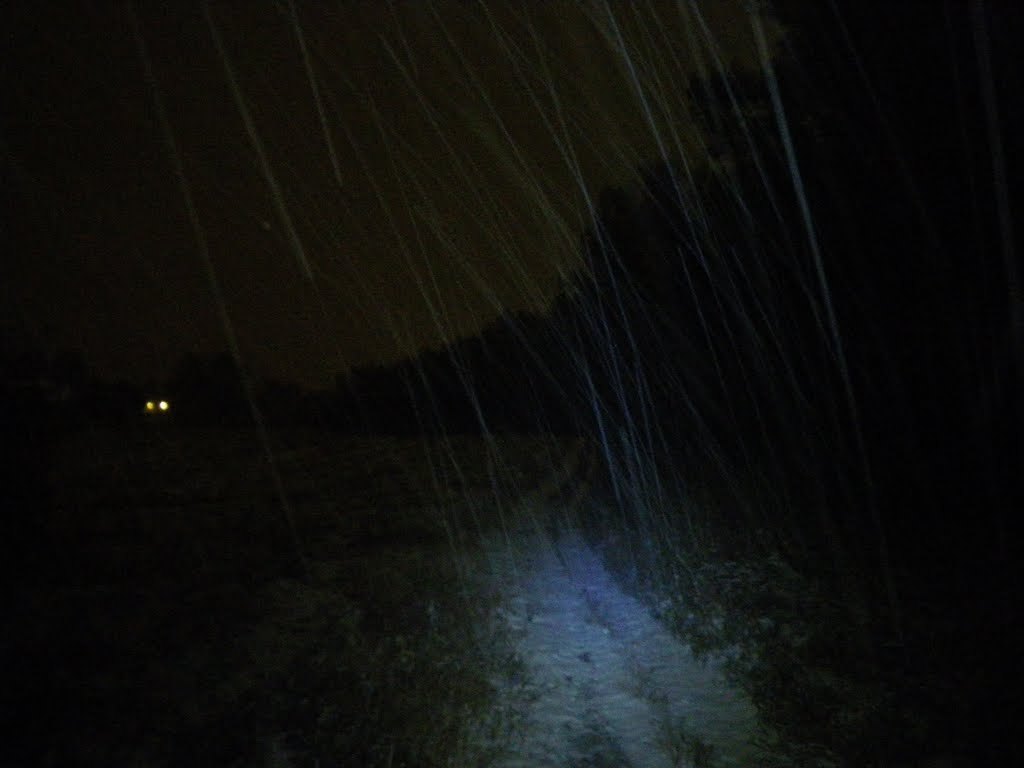 Quiet, snowy darkness. September 2009.