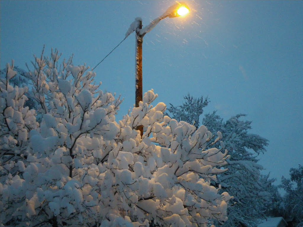 Snow. October 2009.