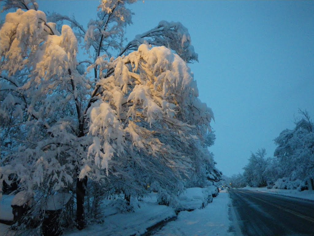 Frozen. October 2009.