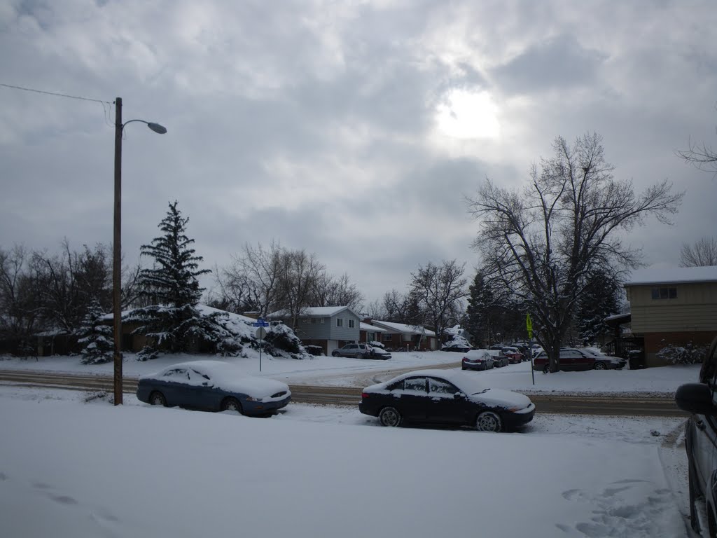 Wintry afternoon. December 2009.
